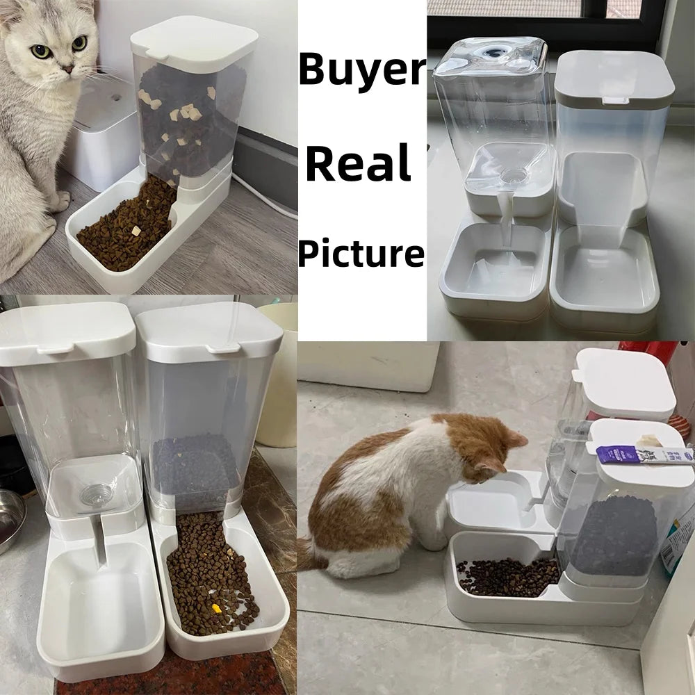 Dog/cat automatic water and feeder