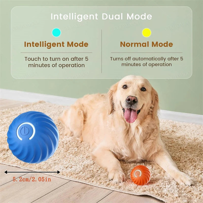 Interactive dog ball