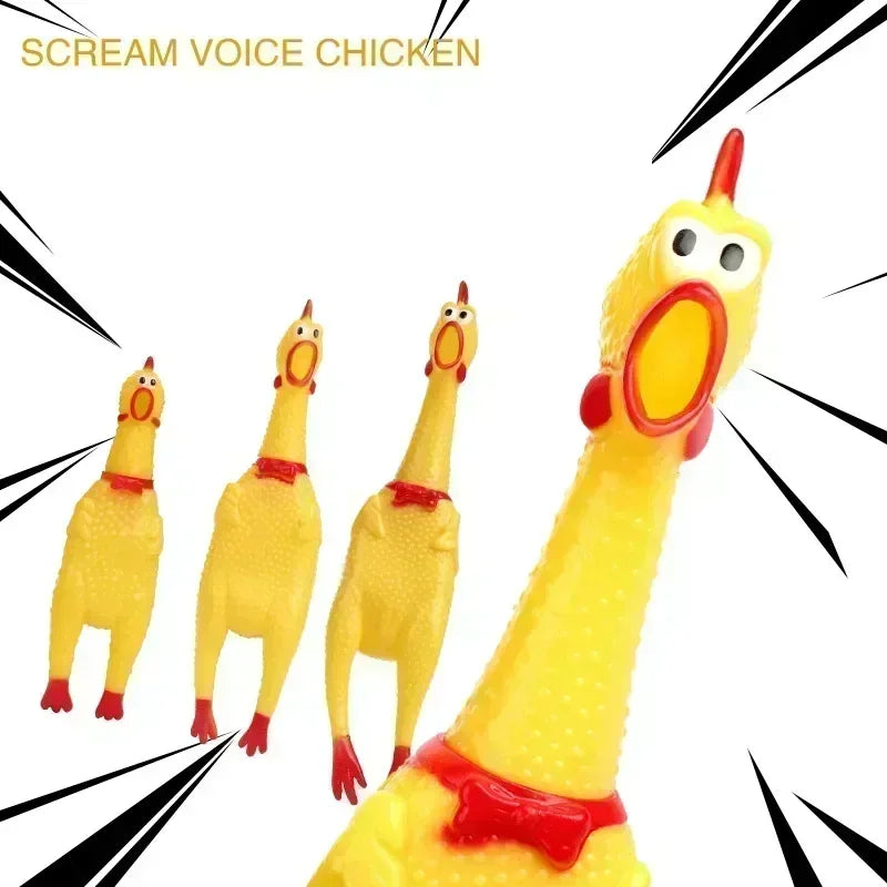 Squeaky chicken dog toy