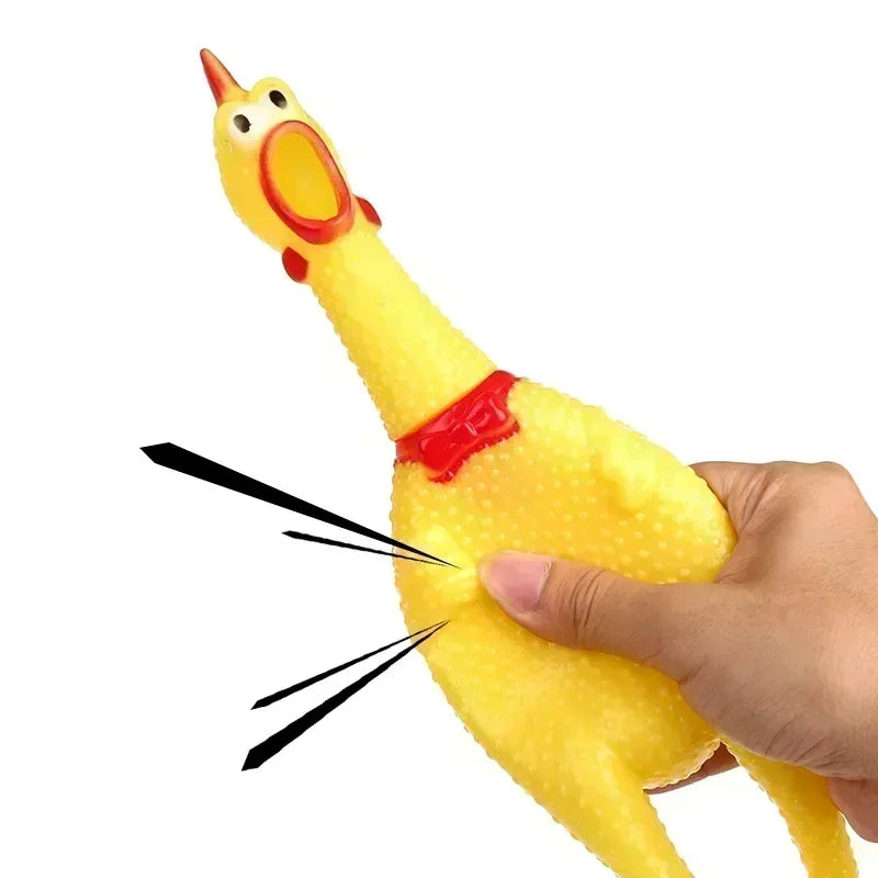 Squeaky chicken dog toy