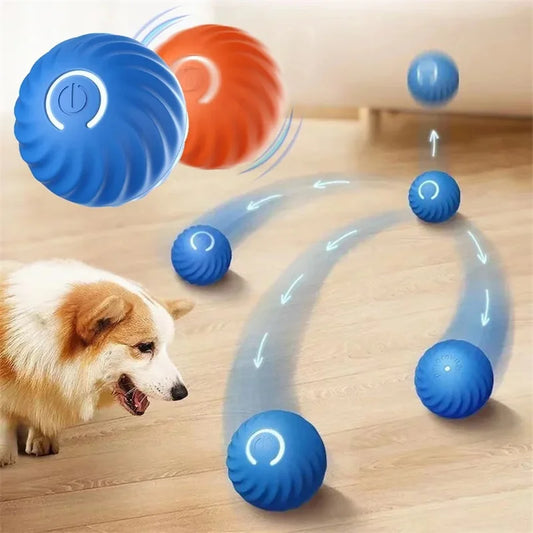 Interactive dog ball