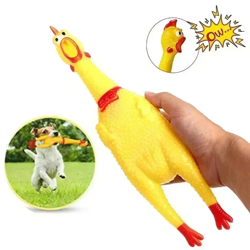 Squeaky chicken dog toy